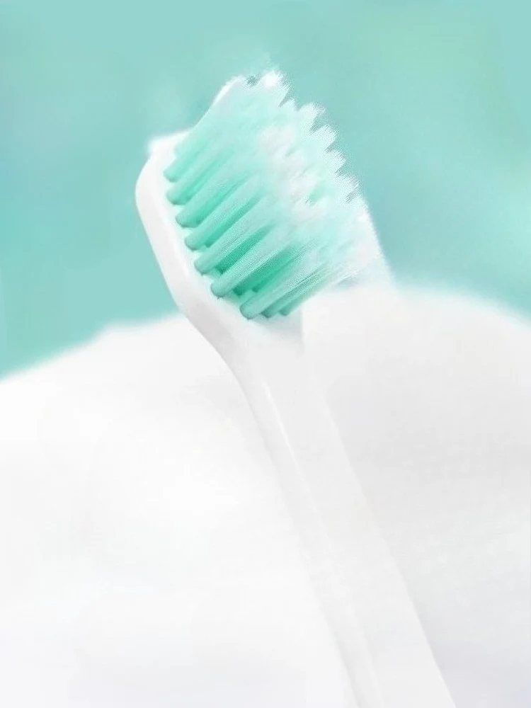 Official Hatsune Miku Forest Collection Couple Toothbrush Set – Ultra-Soft Bristles - Image 6